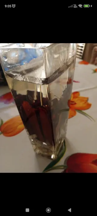 Vaso Decorativo Vetro con Pietre e Fiori Secchi