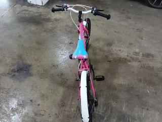 Bicicleta niña DTB Fun 200