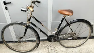 Bicicletta Torpado
