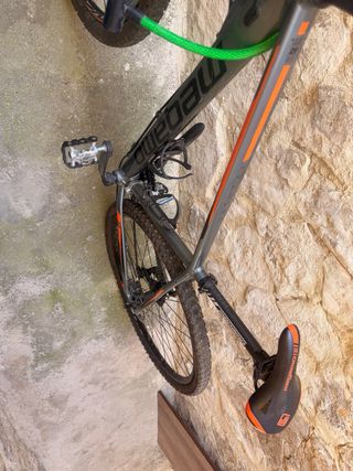 Bicicleta de Montaña