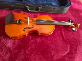 Violín con funda y arco