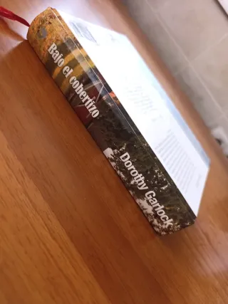 Bajo el cobertizo (Dorothy Garlock)