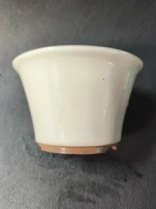 Maceta de cerámica para bonsái