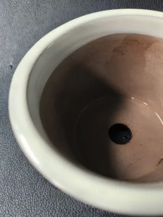 Maceta de cerámica para bonsái