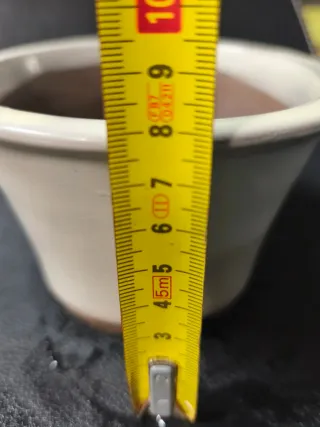 Maceta de cerámica para bonsái