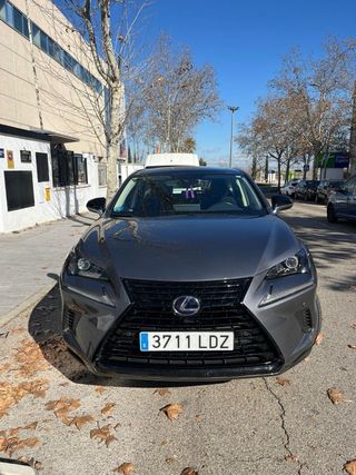 Lexus NX 2020 Sport - techo panoramico