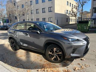 Lexus NX 2020 Sport - techo panoramico