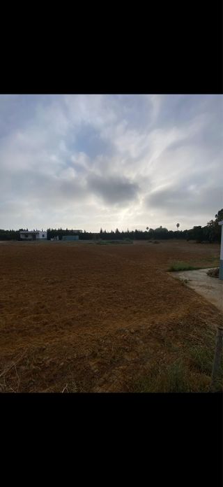 Chalet en parcela 8000 metros