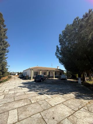 Chalet en parcela 8000 metros