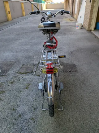 Bicicletta Elettrica Argentata