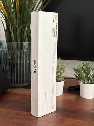 Apple Pencil Original + Punta Repuesto