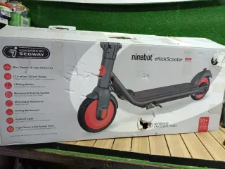 Patinete Eléctrico Segway-Ninebot C20