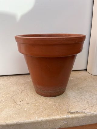 Solo 1€ Maceta de ceramica  16 cm planta