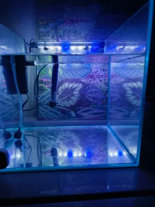 Pecera Cubo 30L