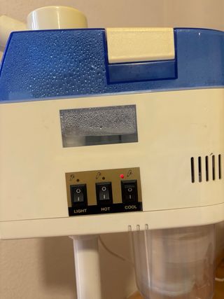 Vaporizador Facial Profesional