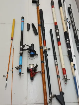 Lote de cañas de pesca y carretes