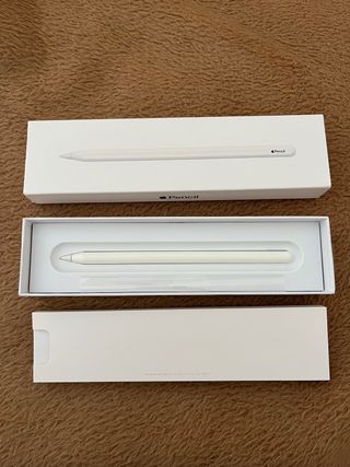 Apple iPad Pro 12,9” 3ª gen (A1876) 64Gb