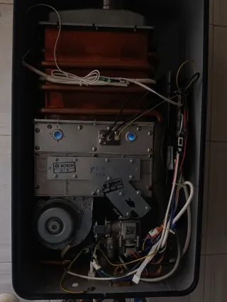 Calentador Bosch 12L Gas Butano/Propano