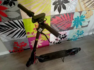 Patinete Eléctrico Xiaomi Pro 2