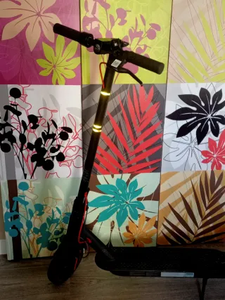 Patinete Eléctrico Xiaomi Pro 2