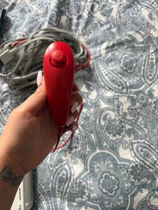 Nintendo Wii + Accesorios