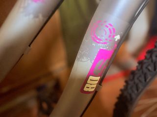 Bicicleta aluminio  Gris