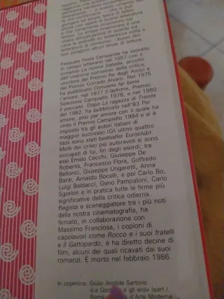 La strega innamorata libro