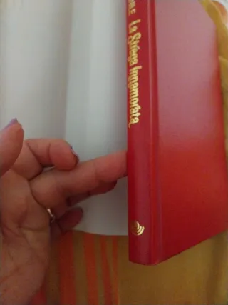 La strega innamorata libro