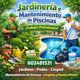Servicios