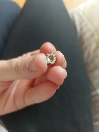 Aritos ositos acero dorado y plateado.