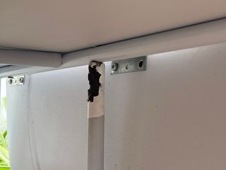 Mesa plegable blanca para reparar