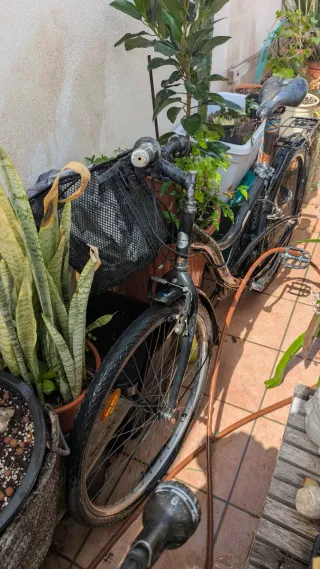 Bicicleta Paseo Rodado 26