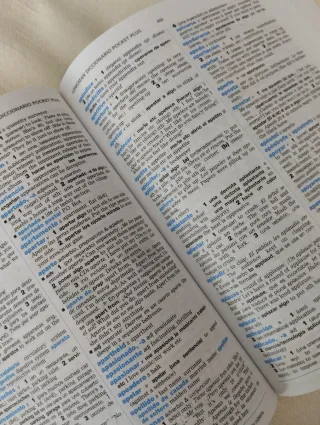 Diccionario Pocket Plus Longman inglés