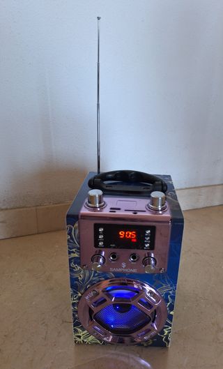 Altaveu /altavoz bluetooth amb ràdio + 2 micròfons