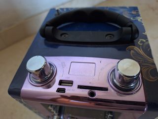 Altaveu /altavoz bluetooth amb ràdio + 2 micròfons