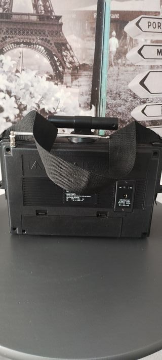 Radio Multibanda Intron
