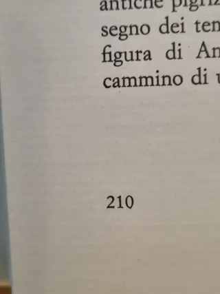 libro Antonio da Padova di Paolo Scandaletti