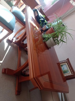 Muebles salón comedor + mesa y 6 sillas