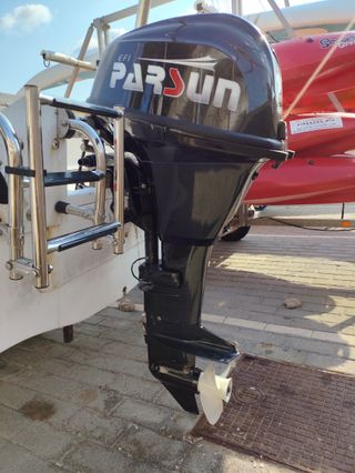 Fueraborda 20 CV 4 T Prácticamente nuevo.