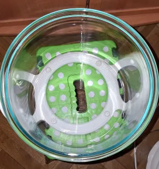 Horno Convección para Reborn