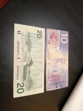 20 e 10 dollari canadesi