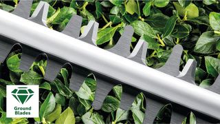 Cortasetos Eléctrico Bosch EasyHedgeCut 55