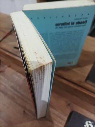 Desde el infierno: Una historia oculta del sigl...