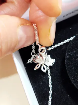 Conjunto Pandora Herbario Azul Brillante