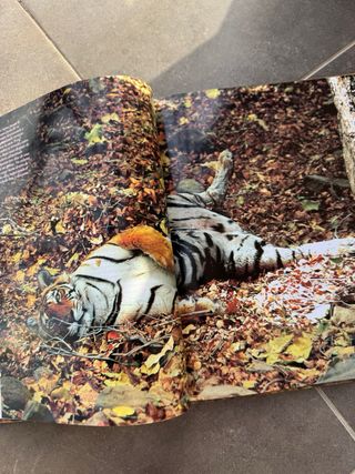 El Reino Animal – National Geographic (Photo Book)