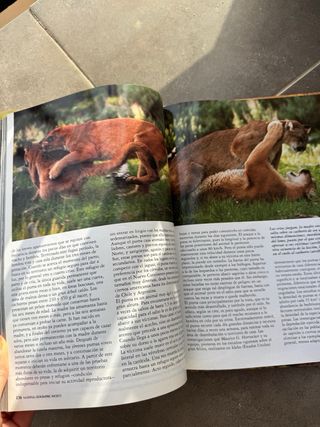 El Reino Animal – National Geographic (Photo Book)