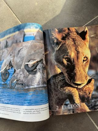 El Reino Animal – National Geographic (Photo Book)
