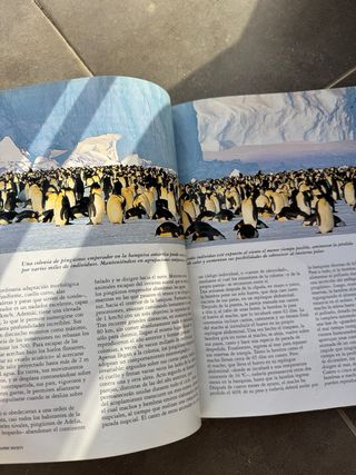 El Reino Animal – National Geographic (Photo Book)
