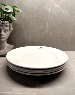 Plato Churchill (31cm)