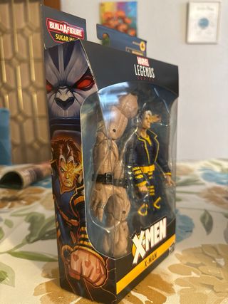 Marvel Legends X-Man (Nate Grey) Figura de Acción